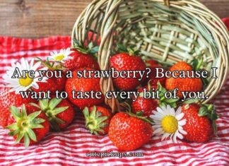 Strawberry Pick Up Lines Strawberry Pick Up Lines