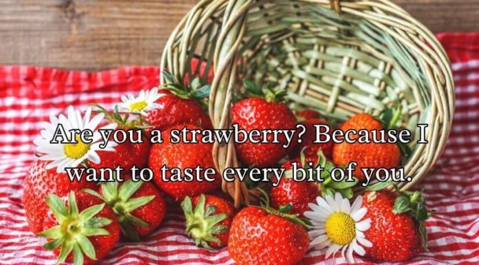 Strawberry Pick Up Lines Strawberry Pick Up Lines