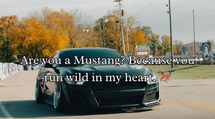 Car Pick Up Lines Car Pick Up Lines
