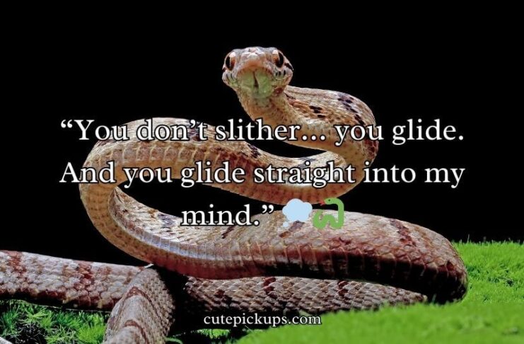 Snake Rizz Lines Snake Rizz Lines