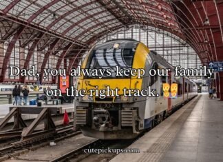 Train Puns and Jokes Train Puns and Jokes
