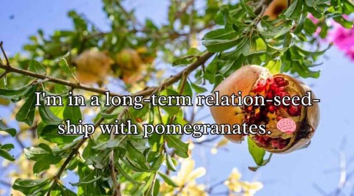 Juicy Pomegranate Puns Juicy Pomegranate Puns