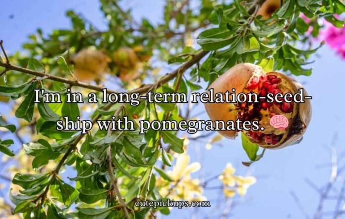 Juicy Pomegranate Puns