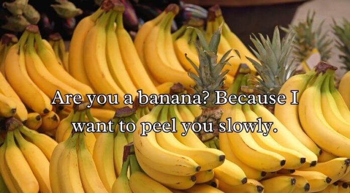 Banana Pick Up Lines Banana Pick Up Lines
