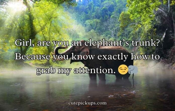 Best Elephant Pick Up Lines And Rizz