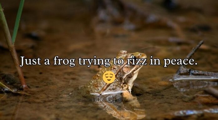 Frog Rizz Lines Frog Rizz Lines