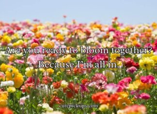 Flower Pick Up Lines Flower Pick Up Lines