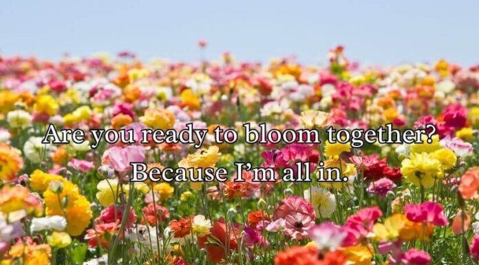 Flower Pick Up Lines Flower Pick Up Lines