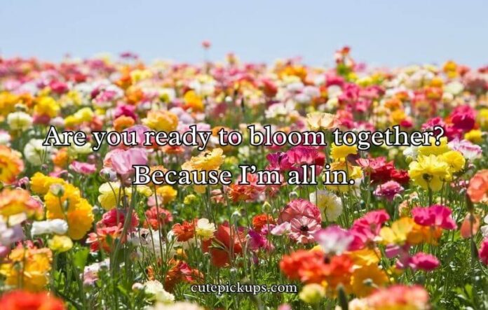 Flower Pick Up Lines