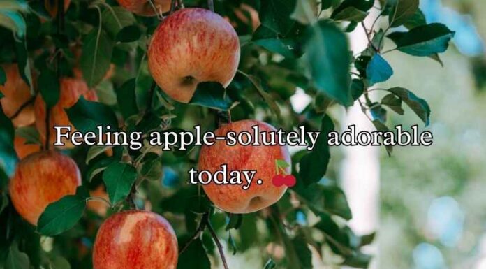 Apple Puns Apple Puns