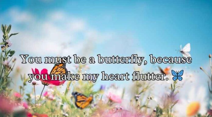 Butterfly Puns for Valentine’s Day Butterfly Puns for Valentine’s Day