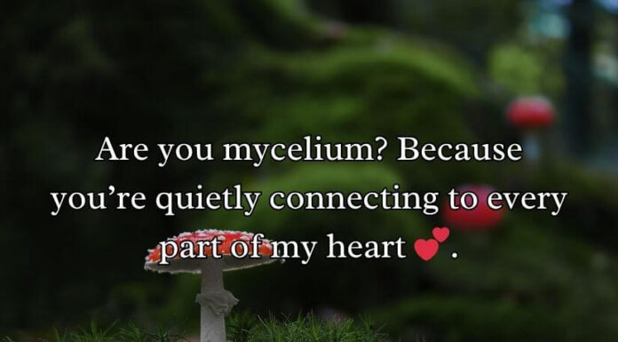 Mushroom Pick-Up Lines Mushroom Pick-Up Lines