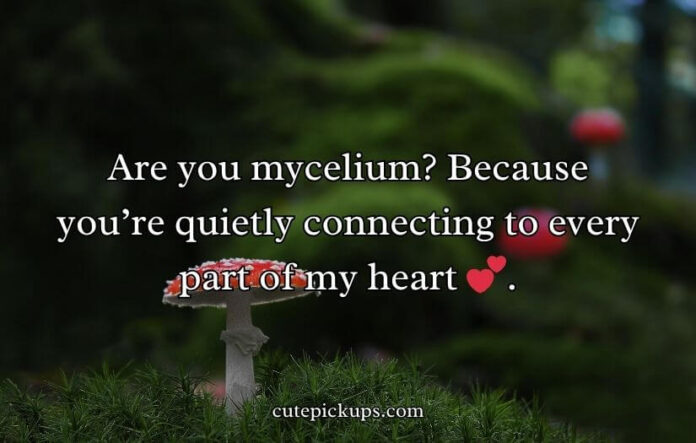 Mushroom Pick-Up Lines