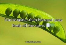 Pea Pickup Lines Pea Pickup Lines