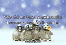 Penguin Jokes Puns Penguin Jokes Puns