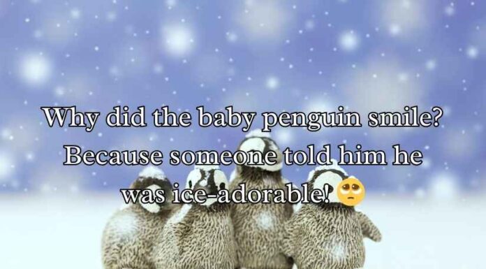 Penguin Jokes Puns Penguin Jokes Puns