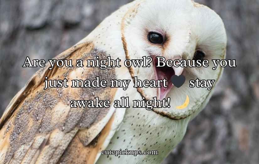 Best Owl Pick Up Lines