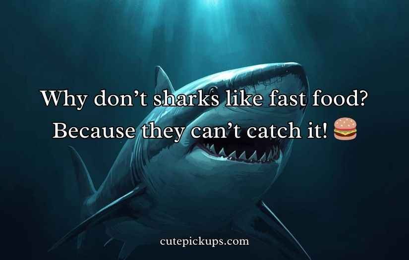 Shark Puns and Jokes