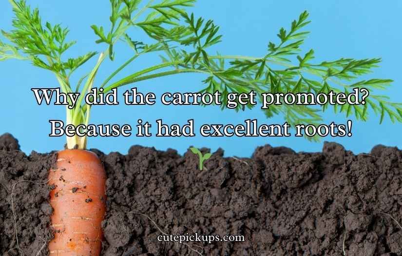 Carrot Puns