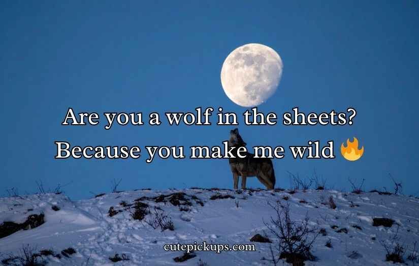 Wolf Pick Up Lines