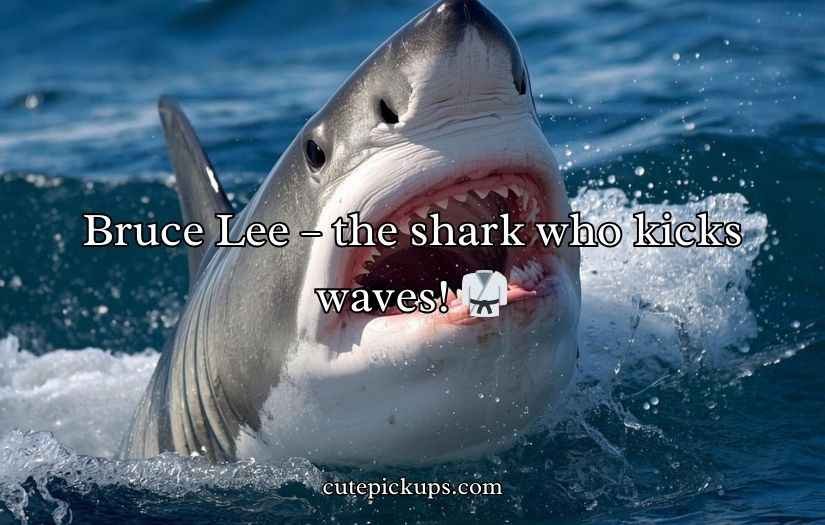 Shark Puns and Jokes