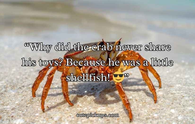 Crab Puns and Jokes