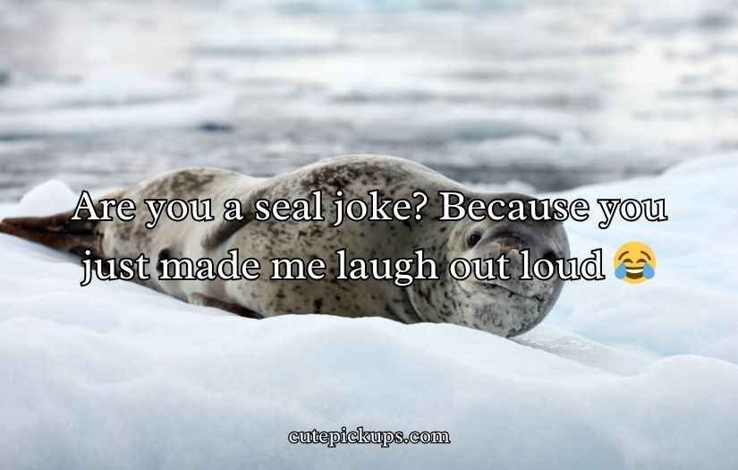 Seal Pickup Lines