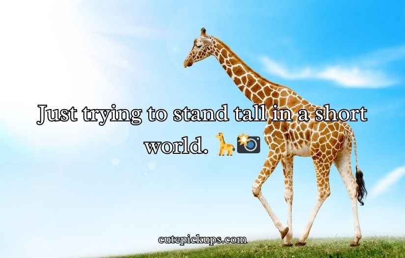 Giraffe Puns