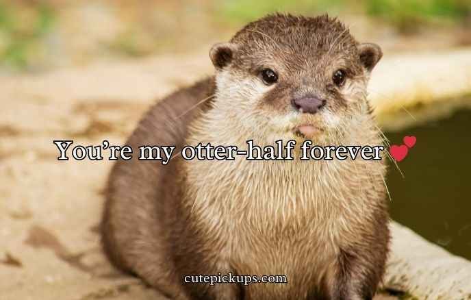 Otter Puns and Jokes