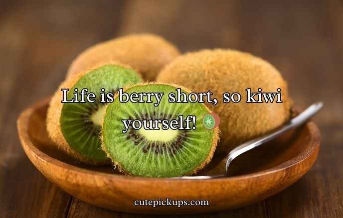 Kiwi Puns And Jokes