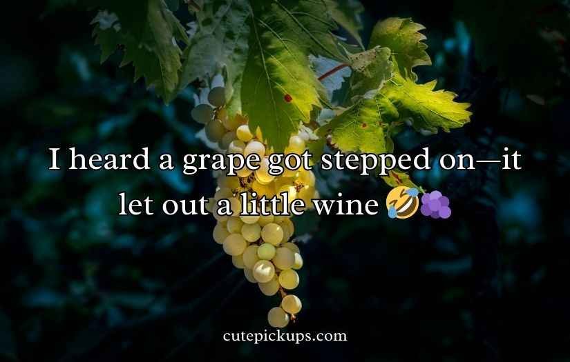 Grape Puns