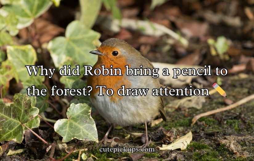 Robin Puns