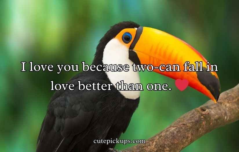 Toucan Puns and Jokes