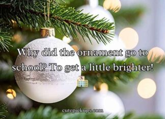 Ornament Puns and Jokes Ornament Puns and Jokes