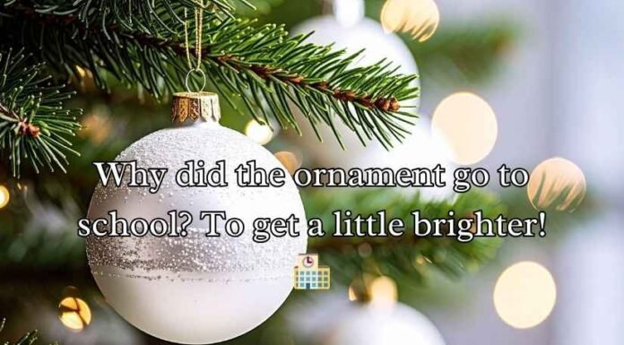 Ornament Puns and Jokes Ornament Puns and Jokes