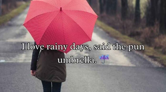 Umbrella Puns and Jokes Umbrella Puns and Jokes