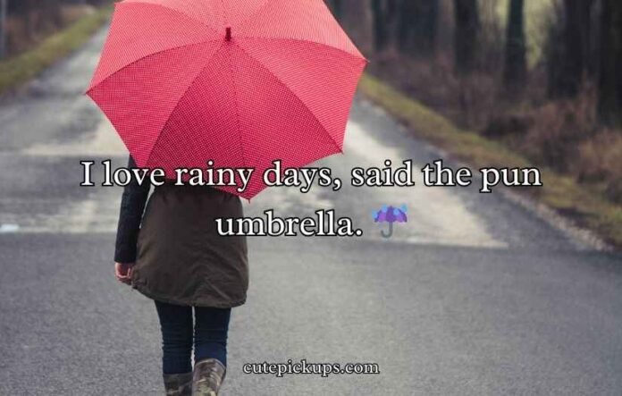 Umbrella Puns and Jokes