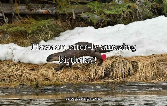 Otter Puns and Jokes