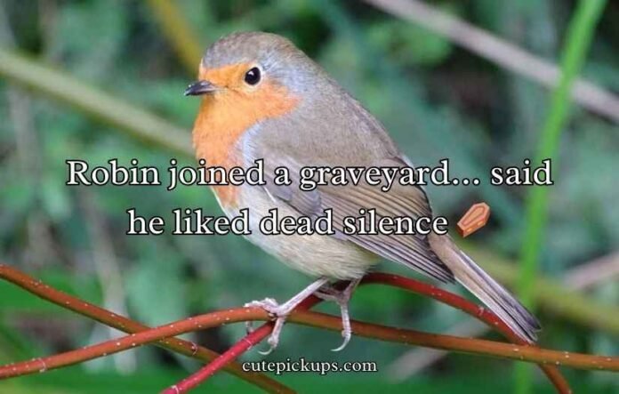 Robin Puns