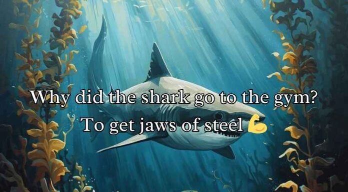 Shark Puns and Jokes Shark Puns and Jokes