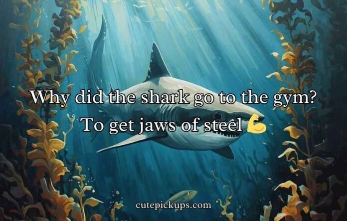 Shark Puns and Jokes