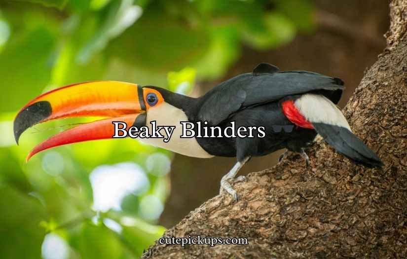 Toucan Puns and Jokes