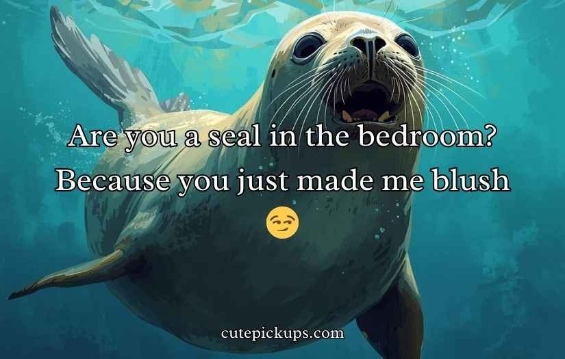 Seal Pickup Lines