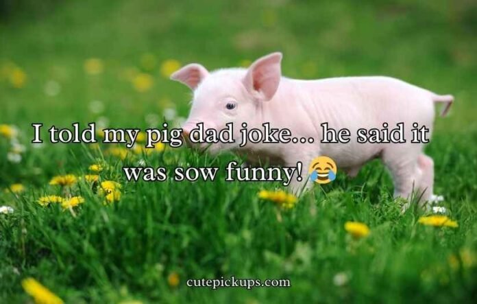Pig Puns and Jokes