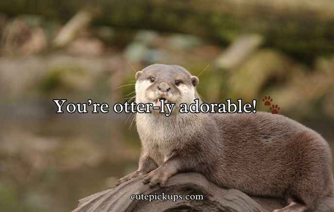 Otter Puns and Jokes