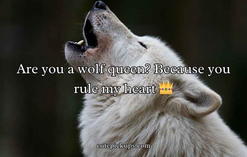 Wolf Pick Up Lines