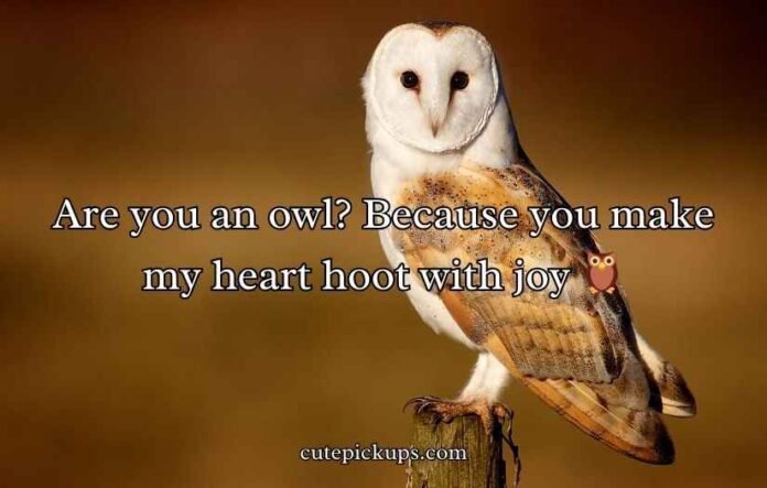 Best Owl Pick Up Lines