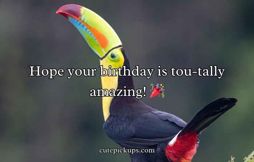 Toucan Puns and Jokes