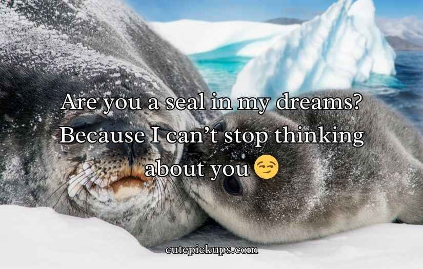 Seal Pickup Lines