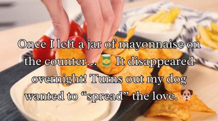 Mayonnaise Jokes Mayonnaise Jokes